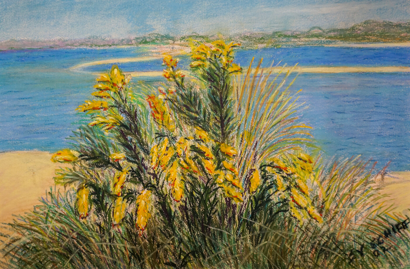 Seaside Vegetation