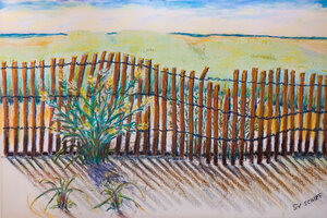 Dune Fence